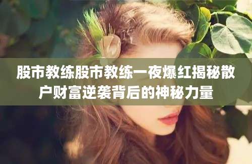 股市教练股市教练一夜爆红揭秘散户财富逆袭背后的神秘力量