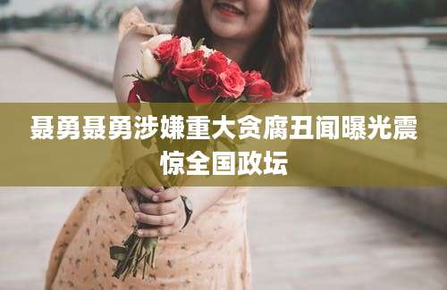 聂勇聂勇涉嫌重大贪腐丑闻曝光震惊全国政坛
