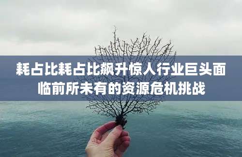 耗占比耗占比飙升惊人行业巨头面临前所未有的资源危机挑战