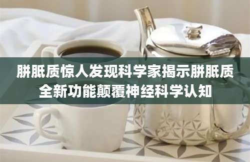 胼胝质惊人发现科学家揭示胼胝质全新功能颠覆神经科学认知