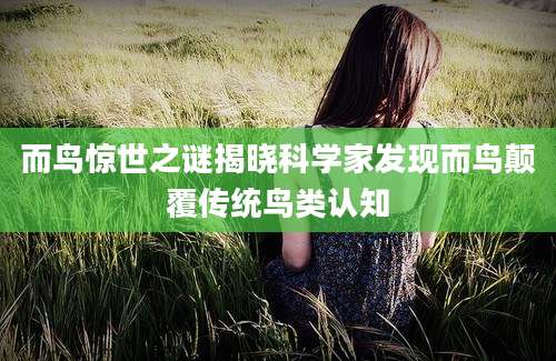 而鸟惊世之谜揭晓科学家发现而鸟颠覆传统鸟类认知