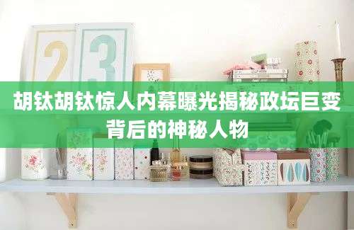 胡钛胡钛惊人内幕曝光揭秘政坛巨变背后的神秘人物