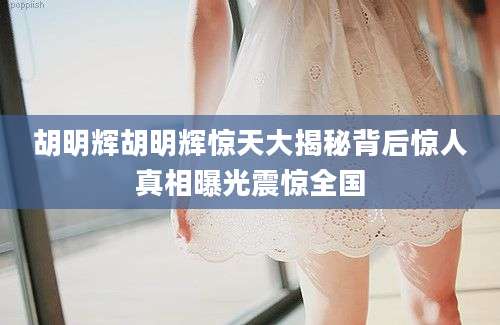 胡明辉胡明辉惊天大揭秘背后惊人真相曝光震惊全国