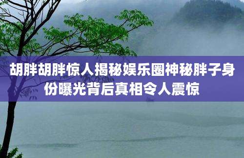胡胖胡胖惊人揭秘娱乐圈神秘胖子身份曝光背后真相令人震惊