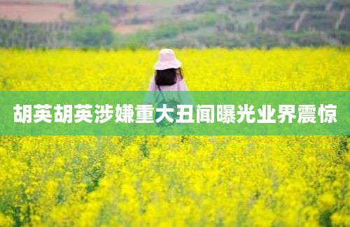 胡英胡英涉嫌重大丑闻曝光业界震惊