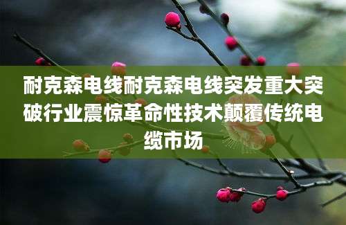 耐克森电线耐克森电线突发重大突破行业震惊革命性技术颠覆传统电缆市场