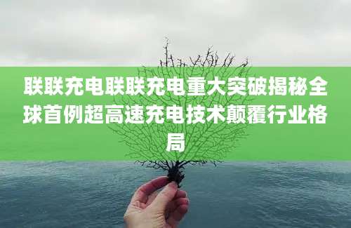 联联充电联联充电重大突破揭秘全球首例超高速充电技术颠覆行业格局