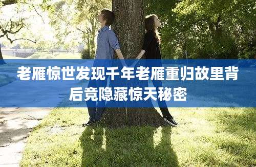 老雁惊世发现千年老雁重归故里背后竟隐藏惊天秘密