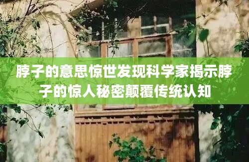 脖子的意思惊世发现科学家揭示脖子的惊人秘密颠覆传统认知