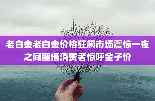 老白金老白金价格狂飙市场震惊一夜之间翻倍消费者惊呼金子价