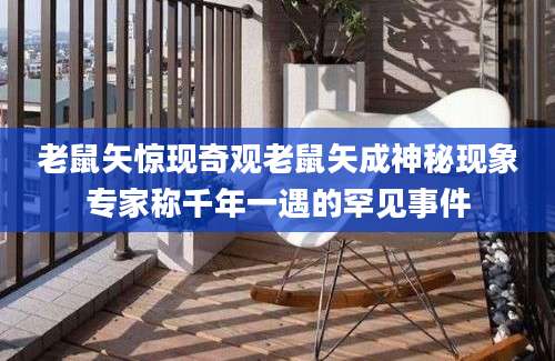 老鼠矢惊现奇观老鼠矢成神秘现象专家称千年一遇的罕见事件