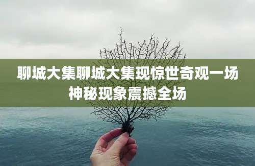 聊城大集聊城大集现惊世奇观一场神秘现象震撼全场