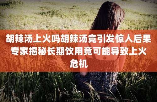 胡辣汤上火吗胡辣汤竟引发惊人后果专家揭秘长期饮用竟可能导致上火危机