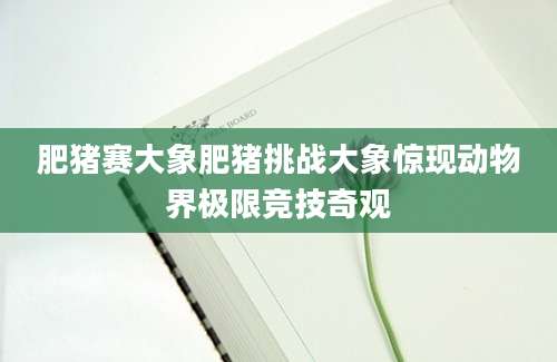 肥猪赛大象肥猪挑战大象惊现动物界极限竞技奇观