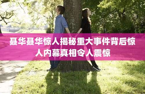 聂华聂华惊人揭秘重大事件背后惊人内幕真相令人震惊