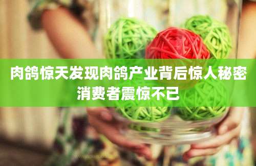 肉鸽惊天发现肉鸽产业背后惊人秘密消费者震惊不已