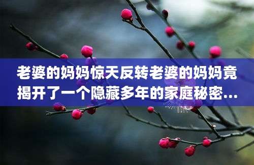 老婆的妈妈惊天反转老婆的妈妈竟揭开了一个隐藏多年的家庭秘密...