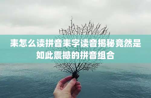 耒怎么读拼音耒字读音揭秘竟然是如此震撼的拼音组合