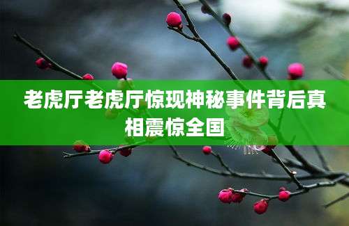 老虎厅老虎厅惊现神秘事件背后真相震惊全国