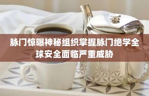 脉门惊曝神秘组织掌握脉门绝学全球安全面临严重威胁