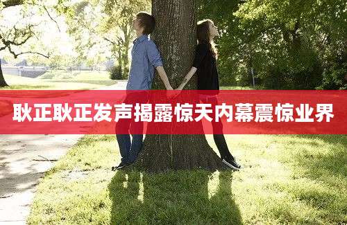 耿正耿正发声揭露惊天内幕震惊业界