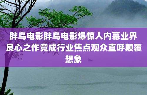 胖鸟电影胖鸟电影爆惊人内幕业界良心之作竟成行业焦点观众直呼颠覆想象