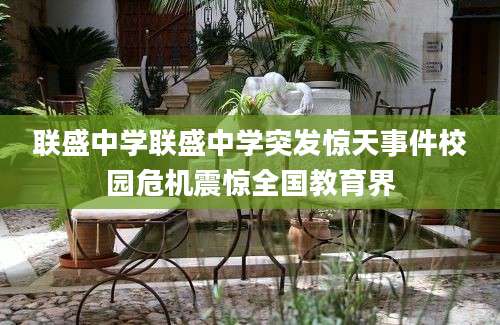 联盛中学联盛中学突发惊天事件校园危机震惊全国教育界
