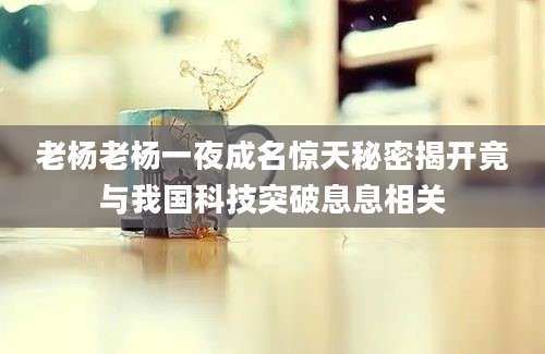 老杨老杨一夜成名惊天秘密揭开竟与我国科技突破息息相关