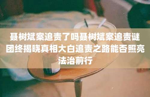 聂树斌案追责了吗聂树斌案追责谜团终揭晓真相大白追责之路能否照亮法治前行
