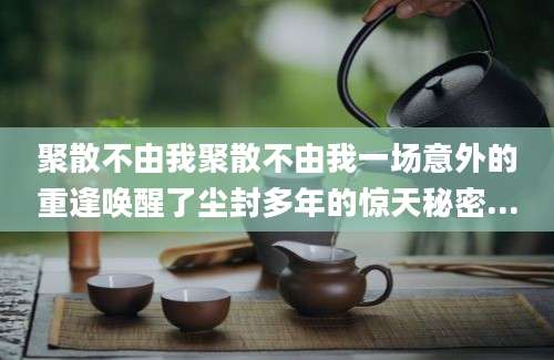 聚散不由我聚散不由我一场意外的重逢唤醒了尘封多年的惊天秘密...