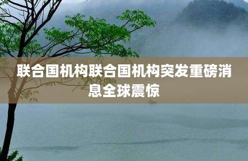 联合国机构联合国机构突发重磅消息全球震惊