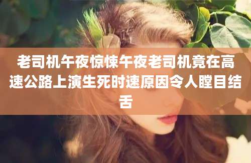 老司机午夜惊悚午夜老司机竟在高速公路上演生死时速原因令人瞠目结舌