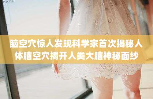 脑空穴惊人发现科学家首次揭秘人体脑空穴揭开人类大脑神秘面纱