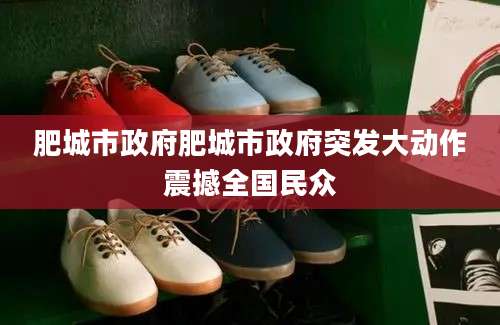 肥城市政府肥城市政府突发大动作震撼全国民众