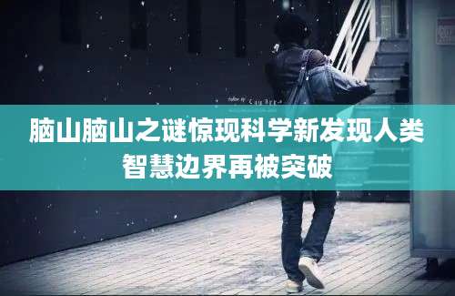 脑山脑山之谜惊现科学新发现人类智慧边界再被突破