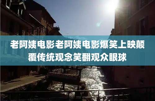 老阿姨电影老阿姨电影爆笑上映颠覆传统观念笑翻观众眼球