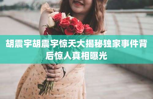胡震宇胡震宇惊天大揭秘独家事件背后惊人真相曝光