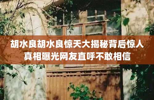 胡水良胡水良惊天大揭秘背后惊人真相曝光网友直呼不敢相信