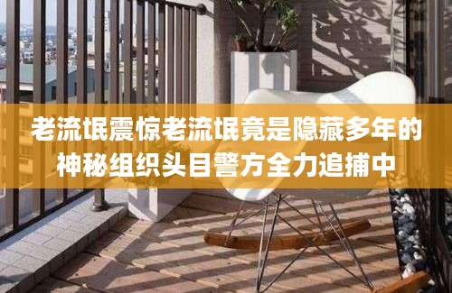 老流氓震惊老流氓竟是隐藏多年的神秘组织头目警方全力追捕中