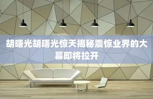 胡曙光胡曙光惊天揭秘震惊业界的大幕即将拉开