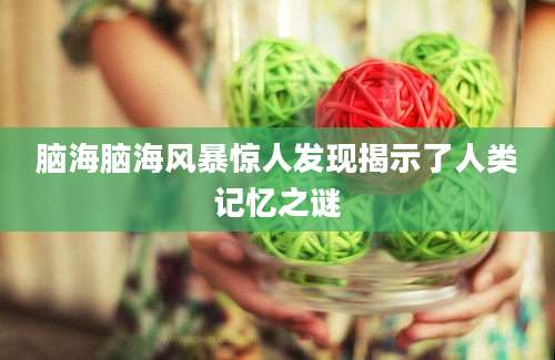 脑海脑海风暴惊人发现揭示了人类记忆之谜
