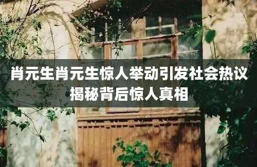 肖元生肖元生惊人举动引发社会热议揭秘背后惊人真相