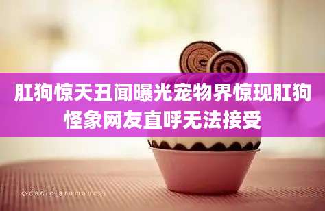 肛狗惊天丑闻曝光宠物界惊现肛狗怪象网友直呼无法接受