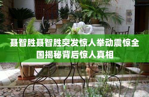 聂智胜聂智胜突发惊人举动震惊全国揭秘背后惊人真相