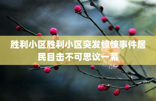 胜利小区胜利小区突发惊悚事件居民目击不可思议一幕