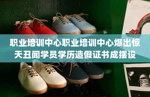 职业培训中心职业培训中心爆出惊天丑闻学员学历造假证书成摆设