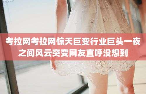 考拉网考拉网惊天巨变行业巨头一夜之间风云突变网友直呼没想到
