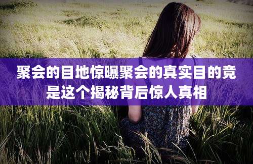 聚会的目地惊曝聚会的真实目的竟是这个揭秘背后惊人真相