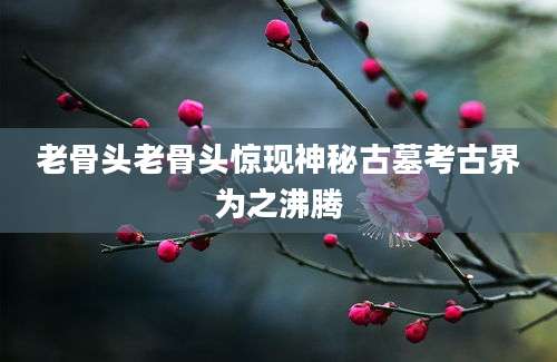 老骨头老骨头惊现神秘古墓考古界为之沸腾