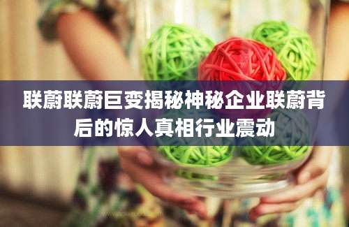联蔚联蔚巨变揭秘神秘企业联蔚背后的惊人真相行业震动